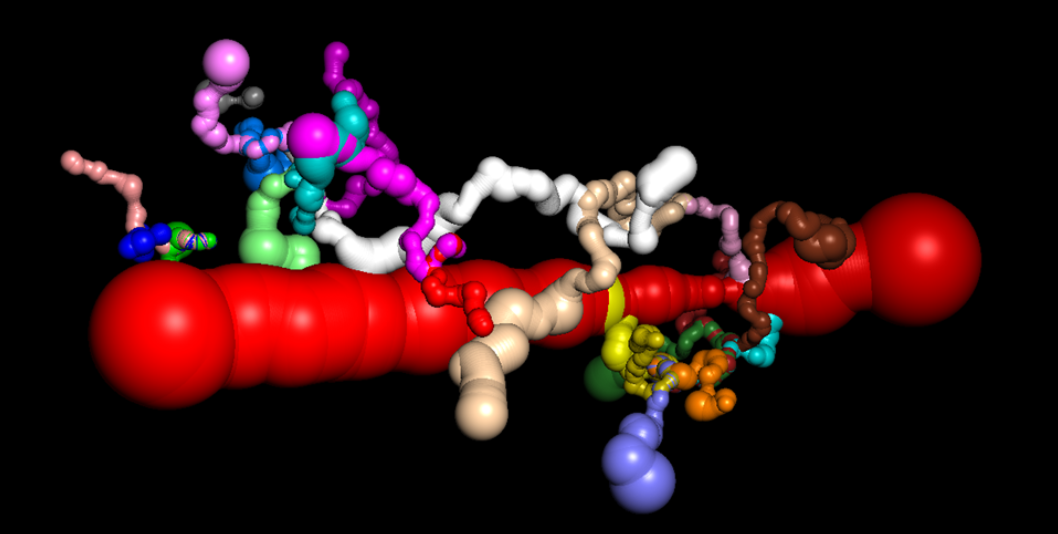 nAChR WPH Model
